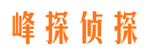 大丰侦探公司